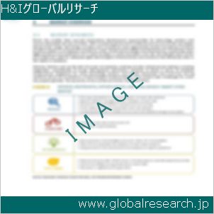 グローバルリサーチ調査レポートのイメージ